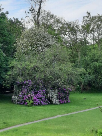 2 Zimmer Eckwohnung mit Balkon im Panorama Haus 2 Obergeschoss - 383 (8474)