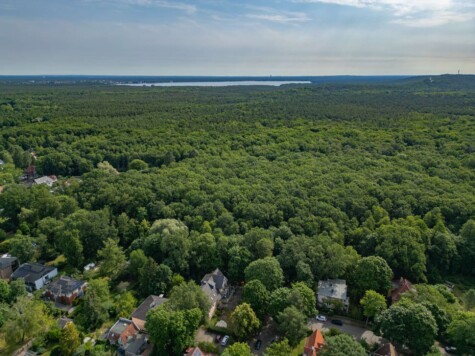 Eigentumswohnung in Stadtvilla zzgl Stpl u. Gartenanteil angrenz.am Berliner Forst - Drohnenansicht vom Forst in der Nachbarschaft (8392)